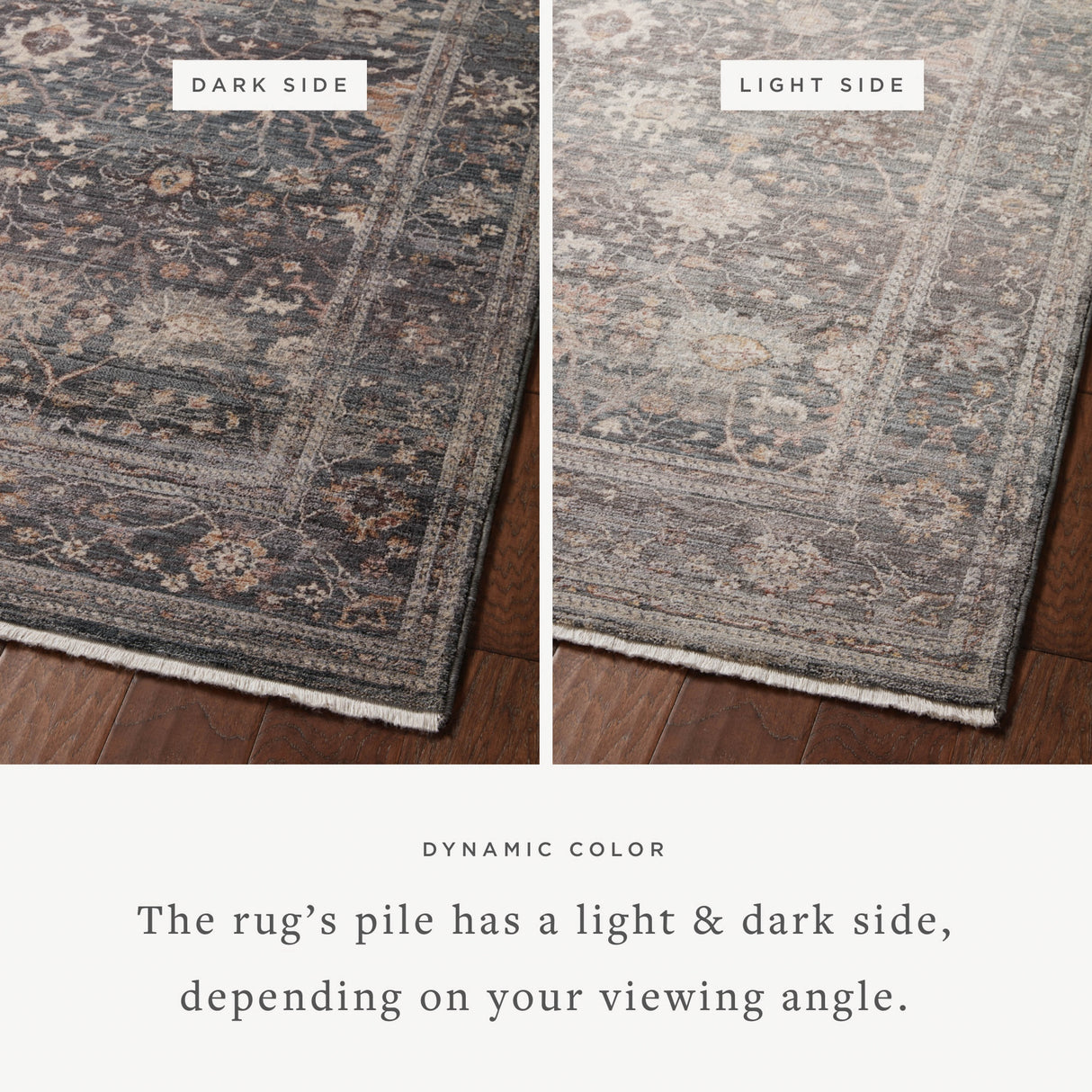 Alexander Home Lynda Vintage Botanical & Floral Area Rug