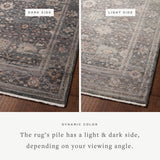 Alexander Home Lynda Vintage Botanical & Floral Area Rug