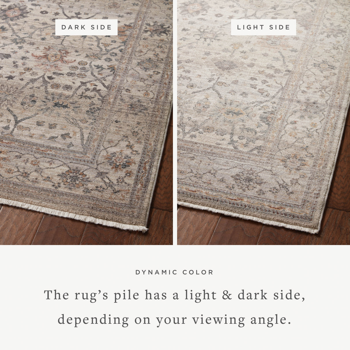 Alexander Home Lynda Vintage Botanical & Floral Area Rug