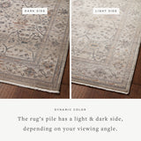 Alexander Home Lynda Vintage Botanical & Floral Area Rug