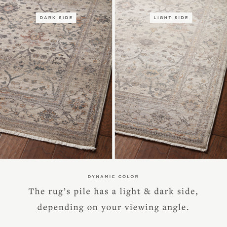 Alexander Home Lynda Vintage Botanical & Floral Area Rug