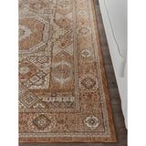 Fairfax Traditional Oriental Indoor Area Rug