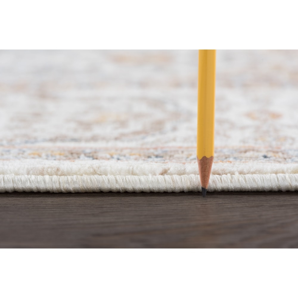 Fairfax Traditional Oriental Indoor Area Rug