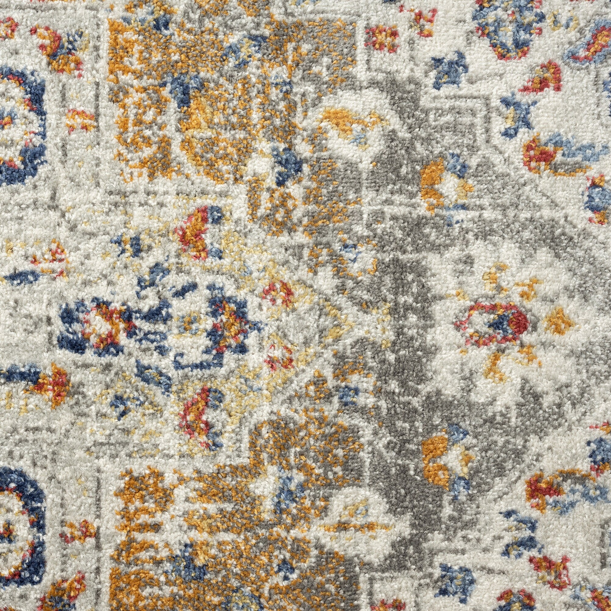 Chesney Bohemian & Eclectic Medallion Indoor Area Rug