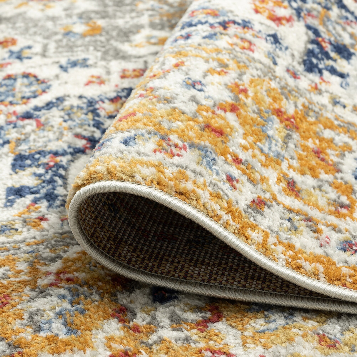 Chesney Bohemian & Eclectic Medallion Indoor Area Rug