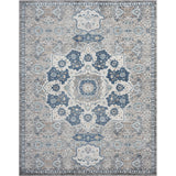 Esplanade Bohemian & Eclectic Oriental Indoor Area Rug
