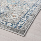 Esplanade Bohemian & Eclectic Oriental Indoor Area Rug