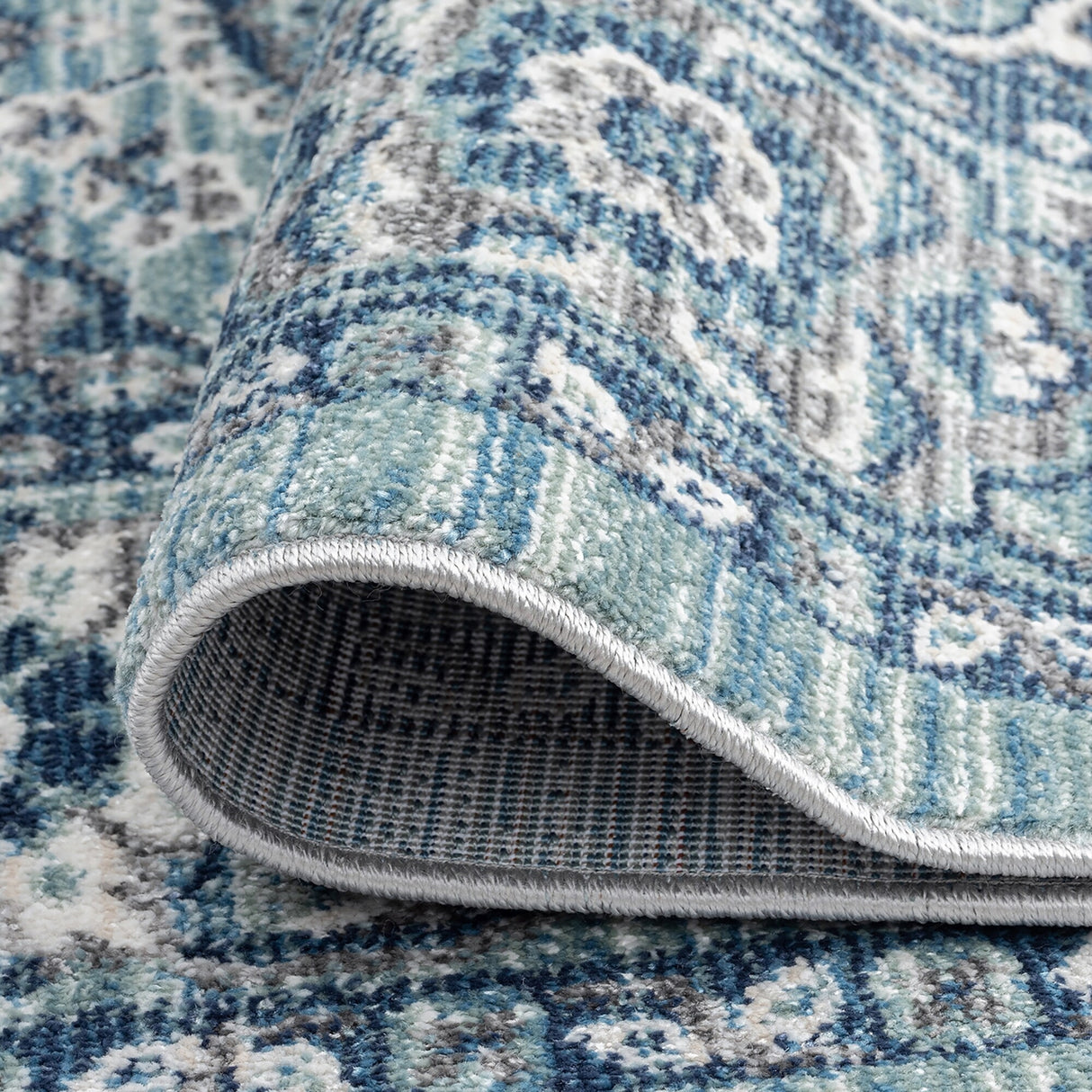 Esplanade Traditional Border Indoor Area Rug