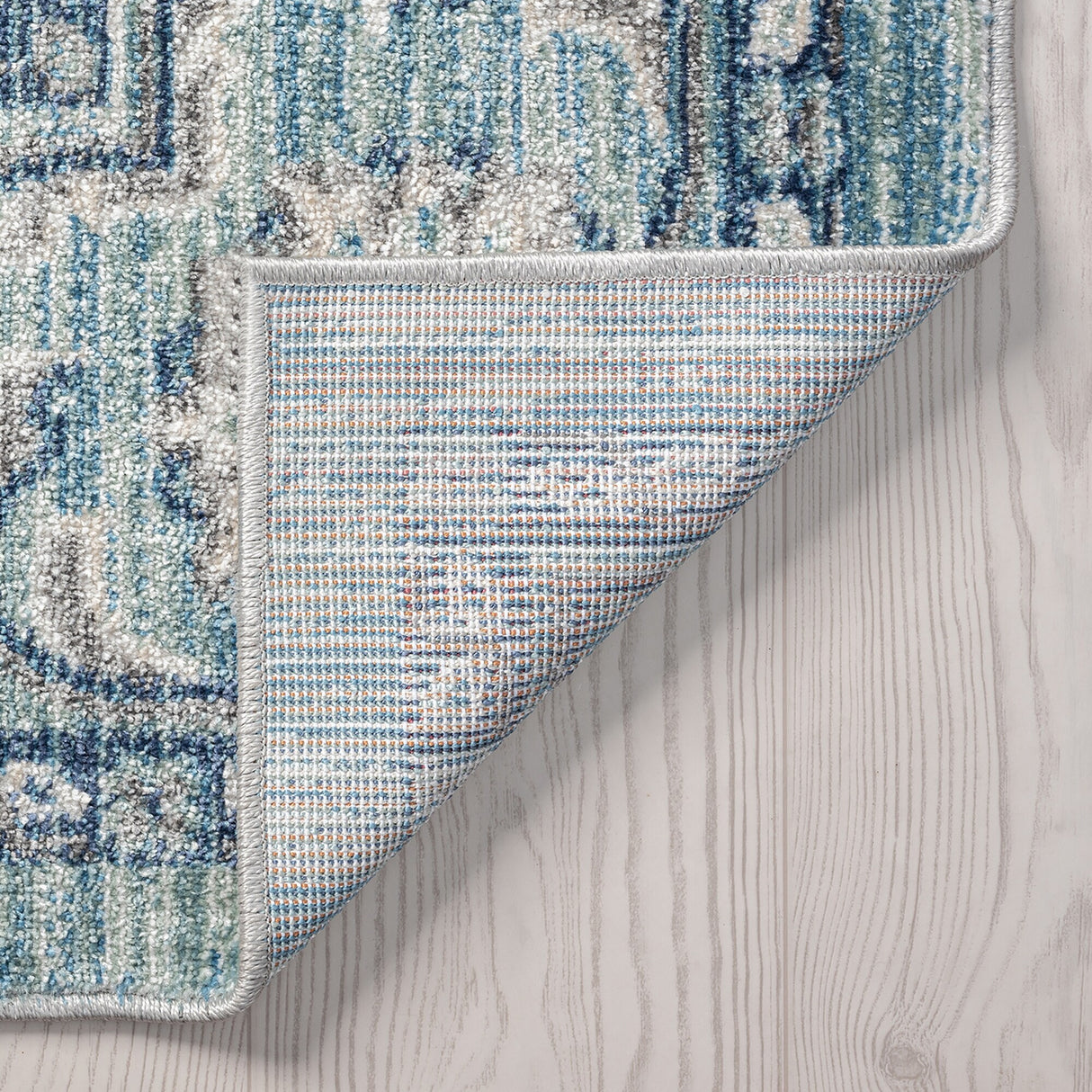 Esplanade Traditional Border Indoor Area Rug