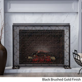 Alleghany Modern Single Panel Fireplace screen by Christopher Knight Home - N/A