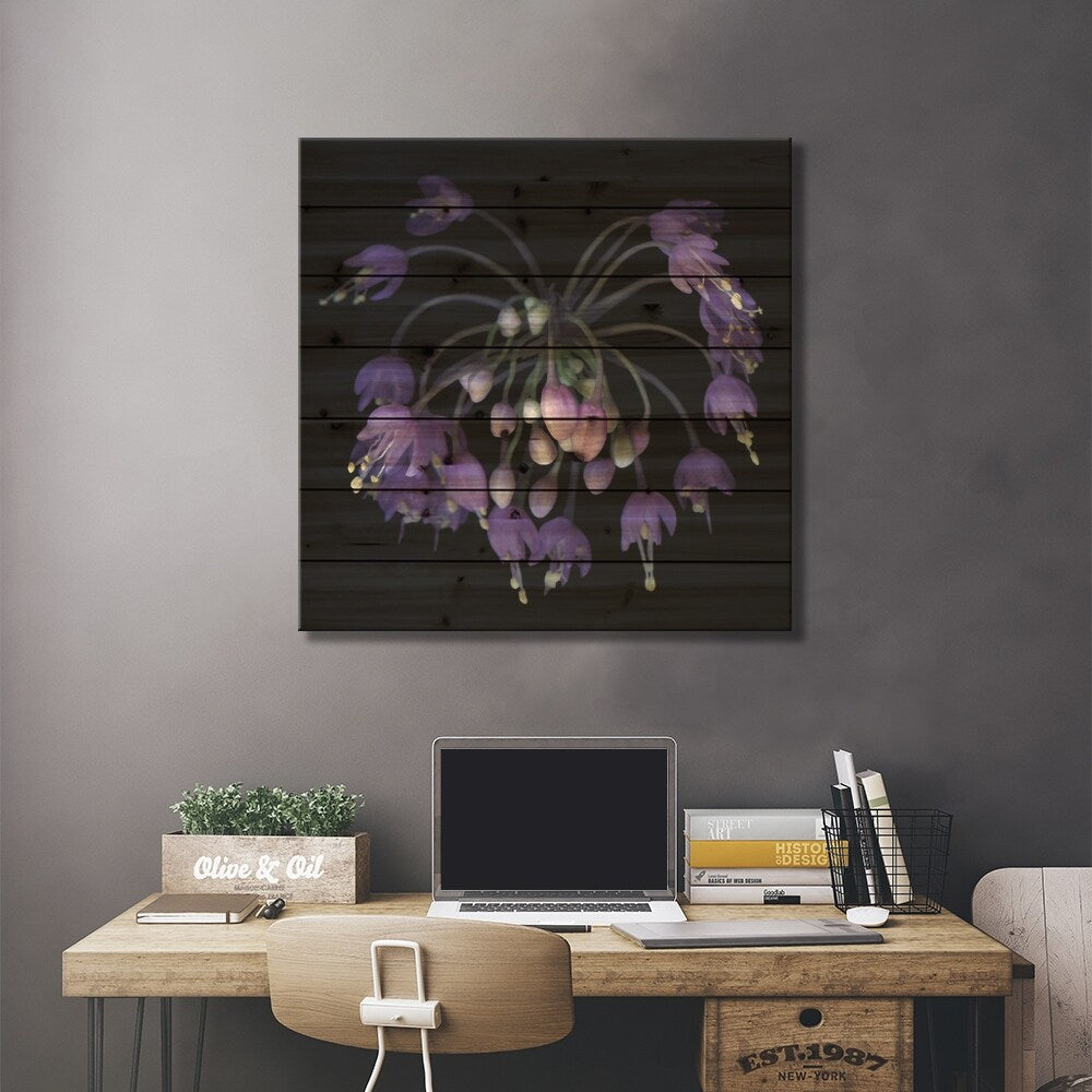 Allium Fireworks Print On Wood by Magda Indigo - Multi-Color