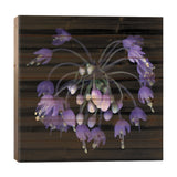 Allium Fireworks Print On Wood by Magda Indigo - Multi-Color