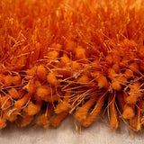 Allstar Chic Thick Soft and Shaggy Rug