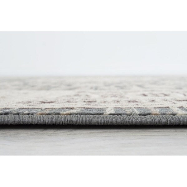 Allstar Rugs Distressed Grey and Cream Rectangular Accent Area Rug with Ivory Persian Design - 7' 6"x9' 8"