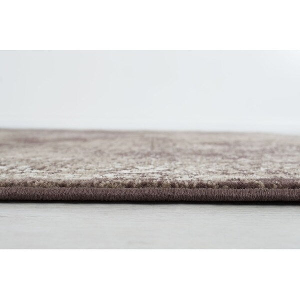 Allstar Rugs Distressed Chocolate and Mocha Rectangular Accent Area Rug with Ivory Persian Design - 4' 11"x7' 0"