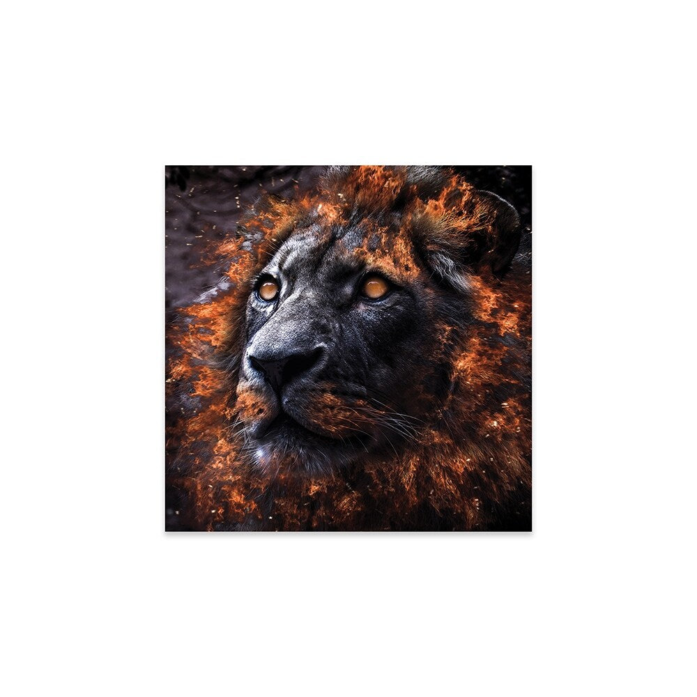 Alpha Print On Acrylic Glass by Paul Haag