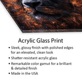 Alpha Print On Acrylic Glass by Paul Haag