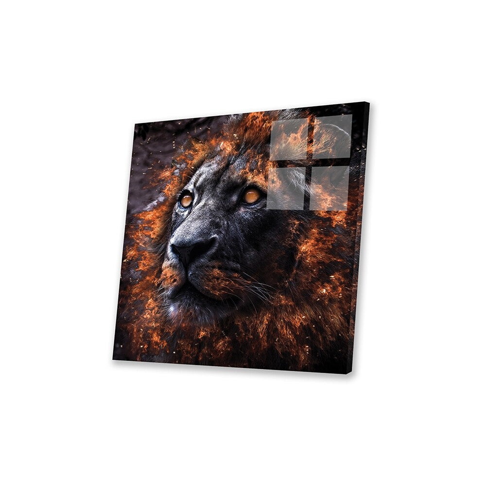 Alpha Print On Acrylic Glass by Paul Haag