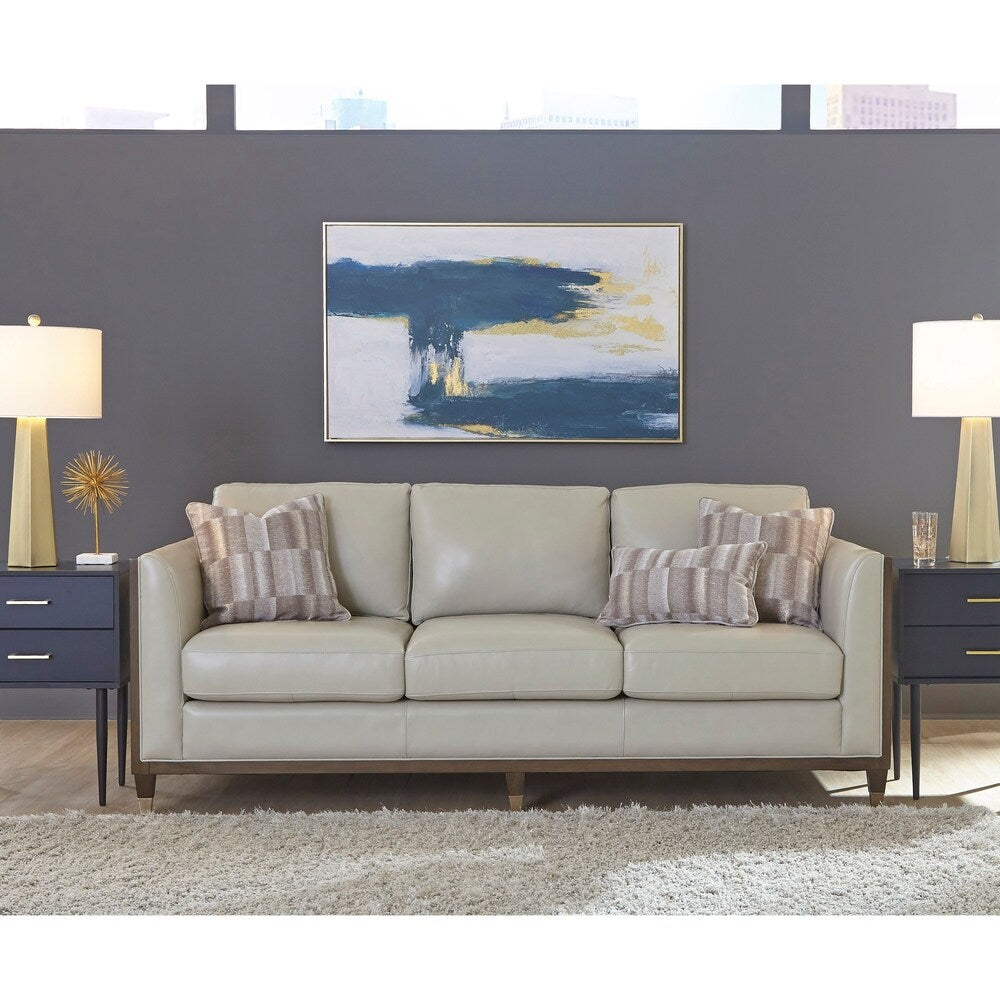Alton Grey Top Grain Leather Modern Sofa w/ pillows
