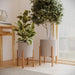 Amara Large Planter Set - 22"H x 15.5"W