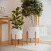 Amara Large Planter Set - 22"H x 15.5"W