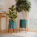 Amara Large Planter Set - 22"H x 15.5"W