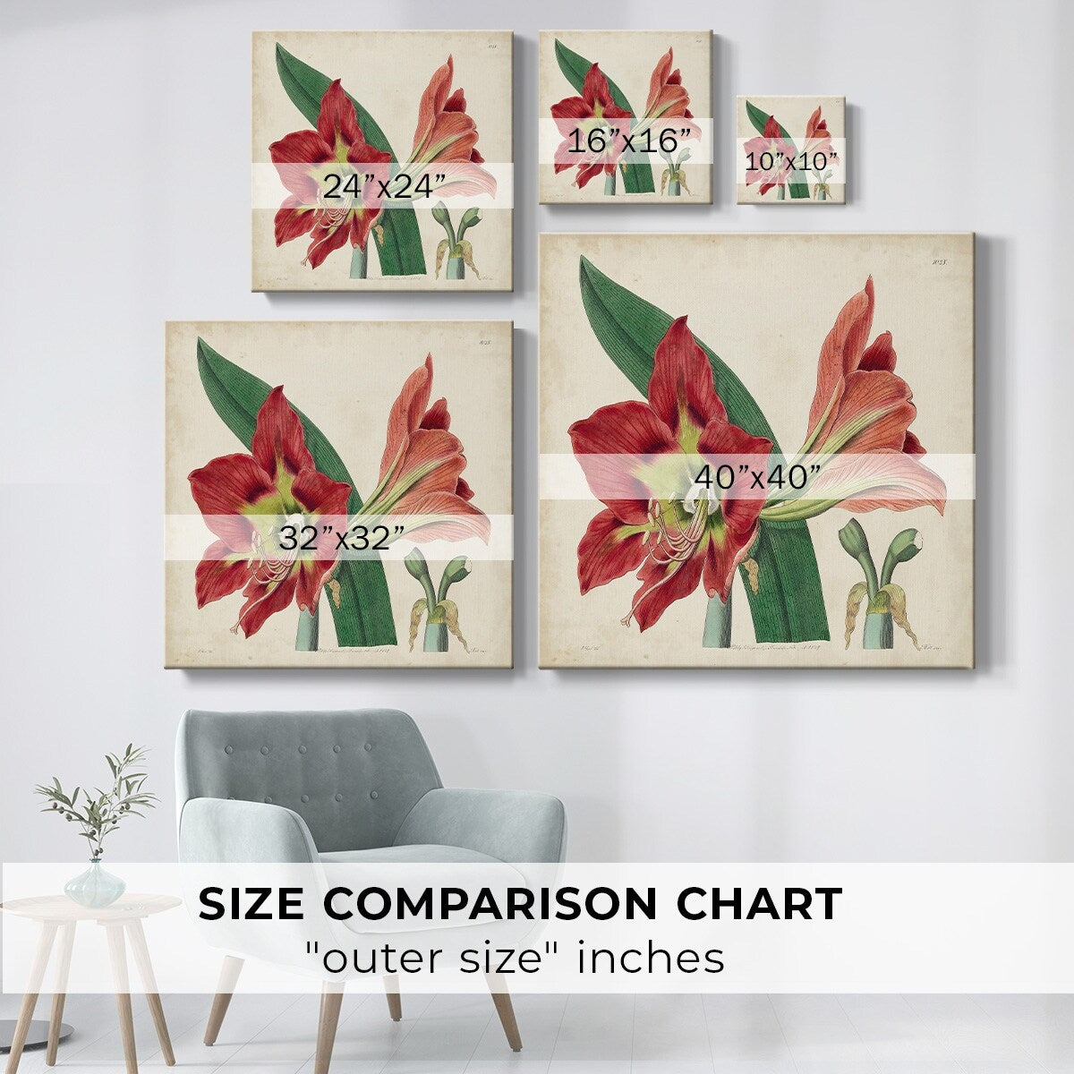 Amaryllis Splendor I-Gallery Wrapped Canvas