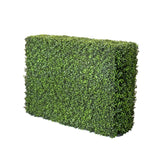 American Boxwood Hedge 40x12x29" - 40x29"