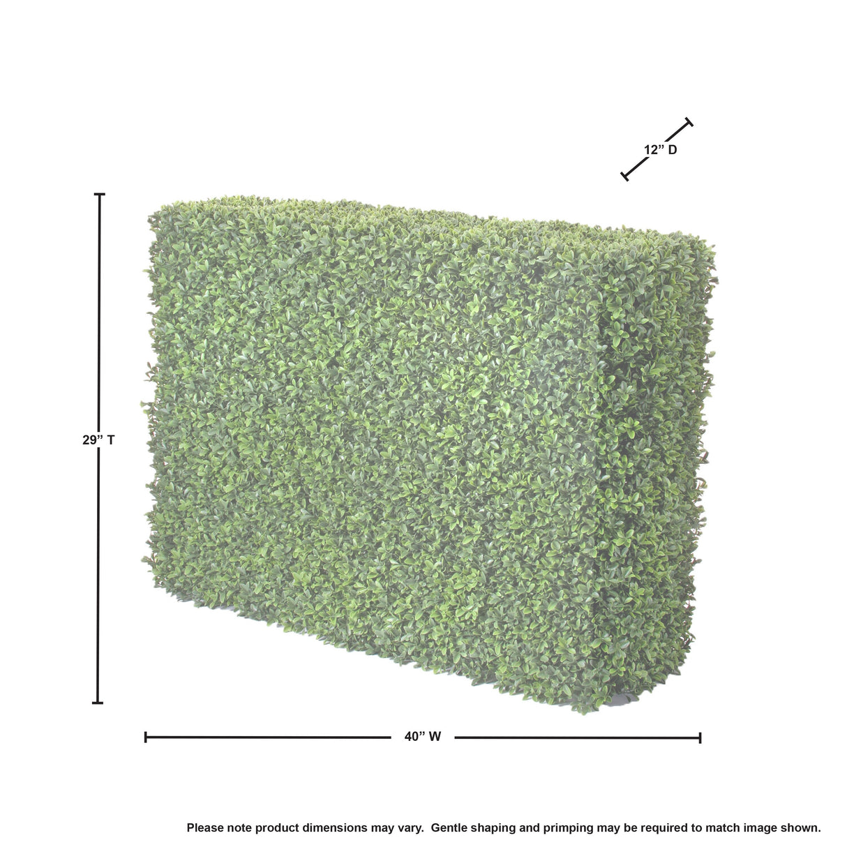 American Boxwood Hedge 40x12x29" - 40x29"