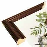 American Sparrow Hawk-VINAPP116375 Print 20"x15.75" by Vintage Apple Collection