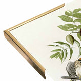 American Sparrow Hawk-VINAPP116375 Print 20"x15.75" by Vintage Apple Collection
