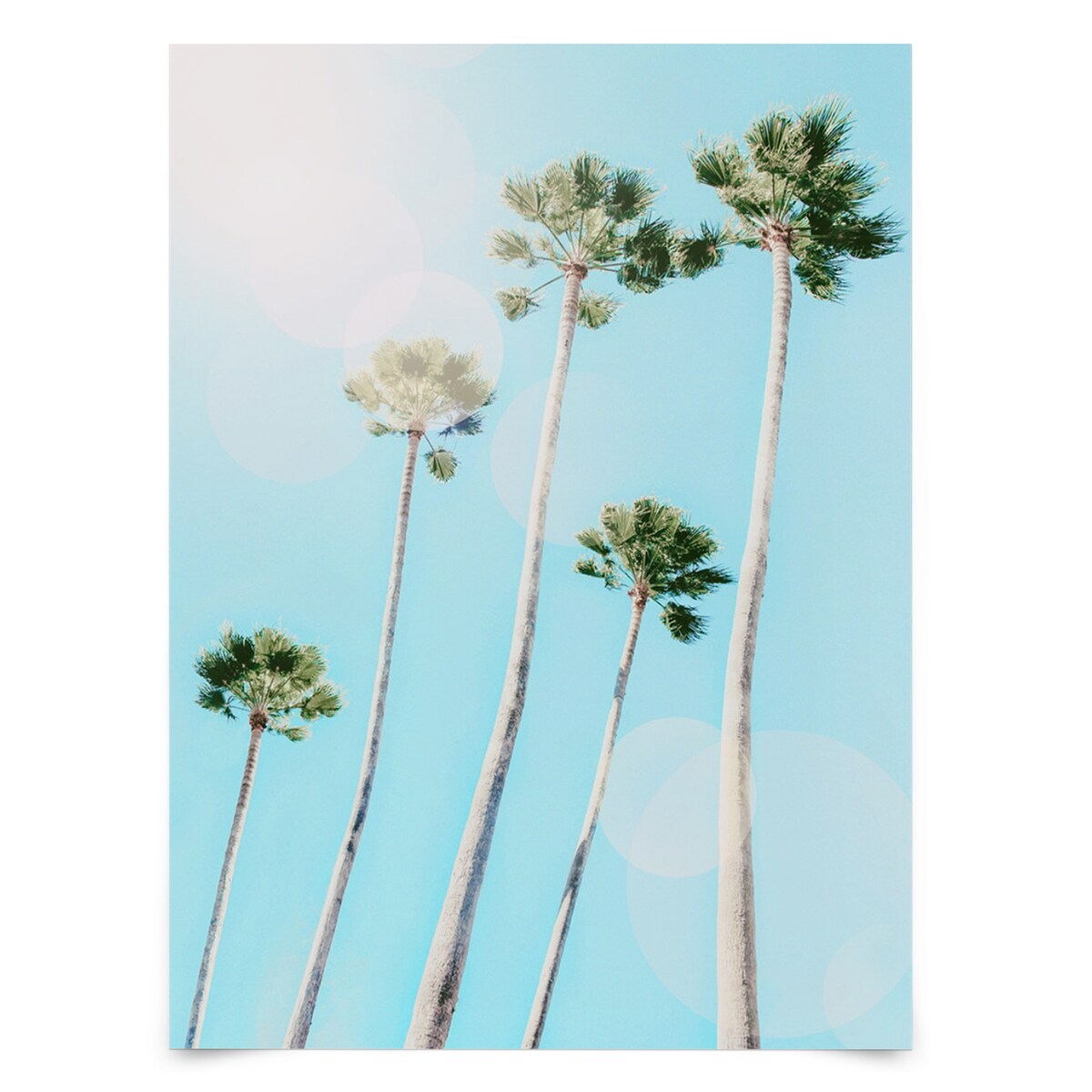 Americanflat - Coastal Wall Art Set - Choose Your Surfboard, by Gal Design