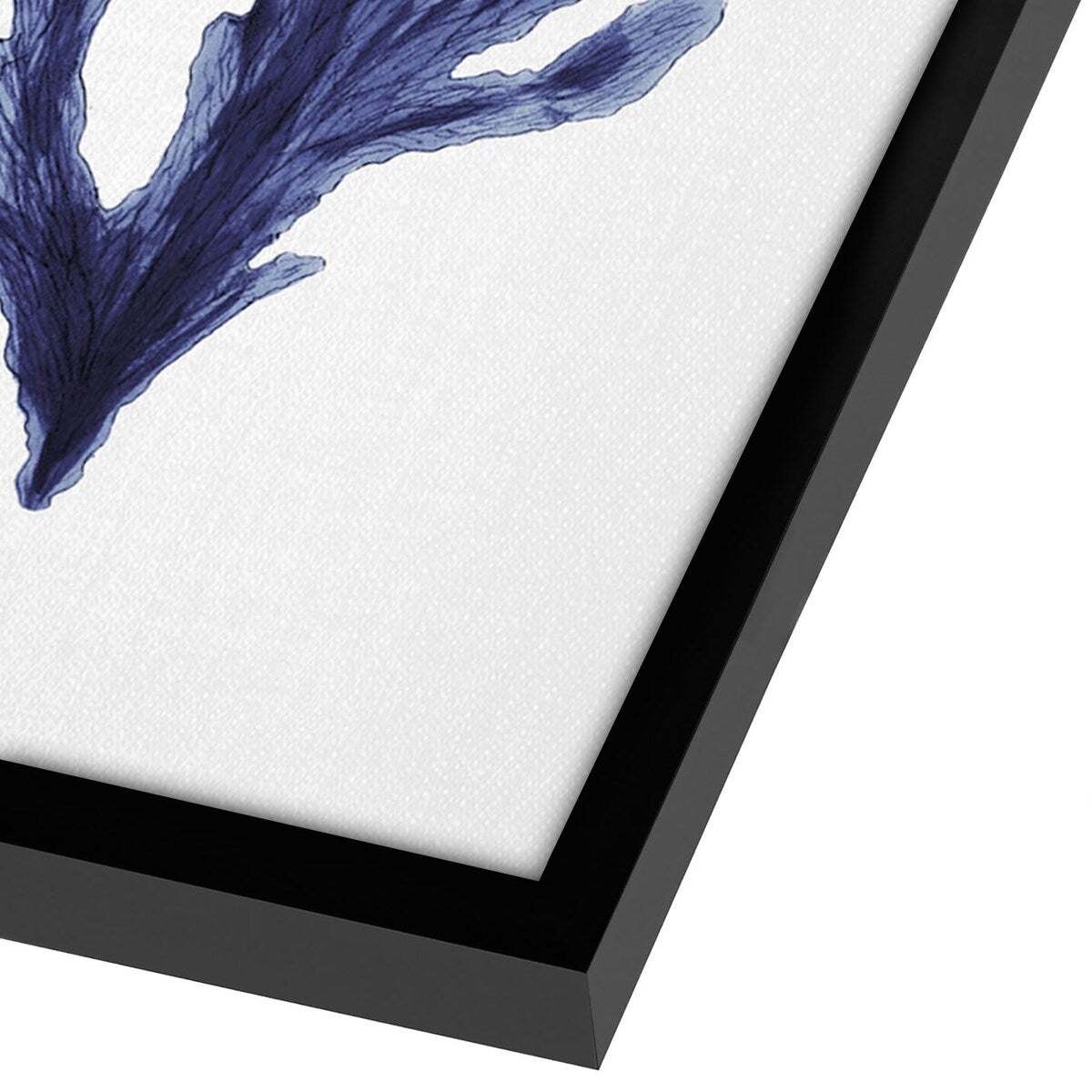 Americanflat - Coastal Wall Art Set - Seaweed 9, Seaweed by Gal Design