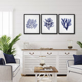 Americanflat - Coastal Wall Art Set - Seaweed 9, Seaweed by Gal Design