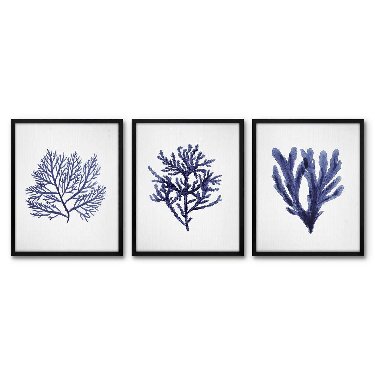 Americanflat - Coastal Wall Art Set - Seaweed 9, Seaweed by Gal Design