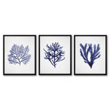 Americanflat - Coastal Wall Art Set - Seaweed 9, Seaweed by Gal Design