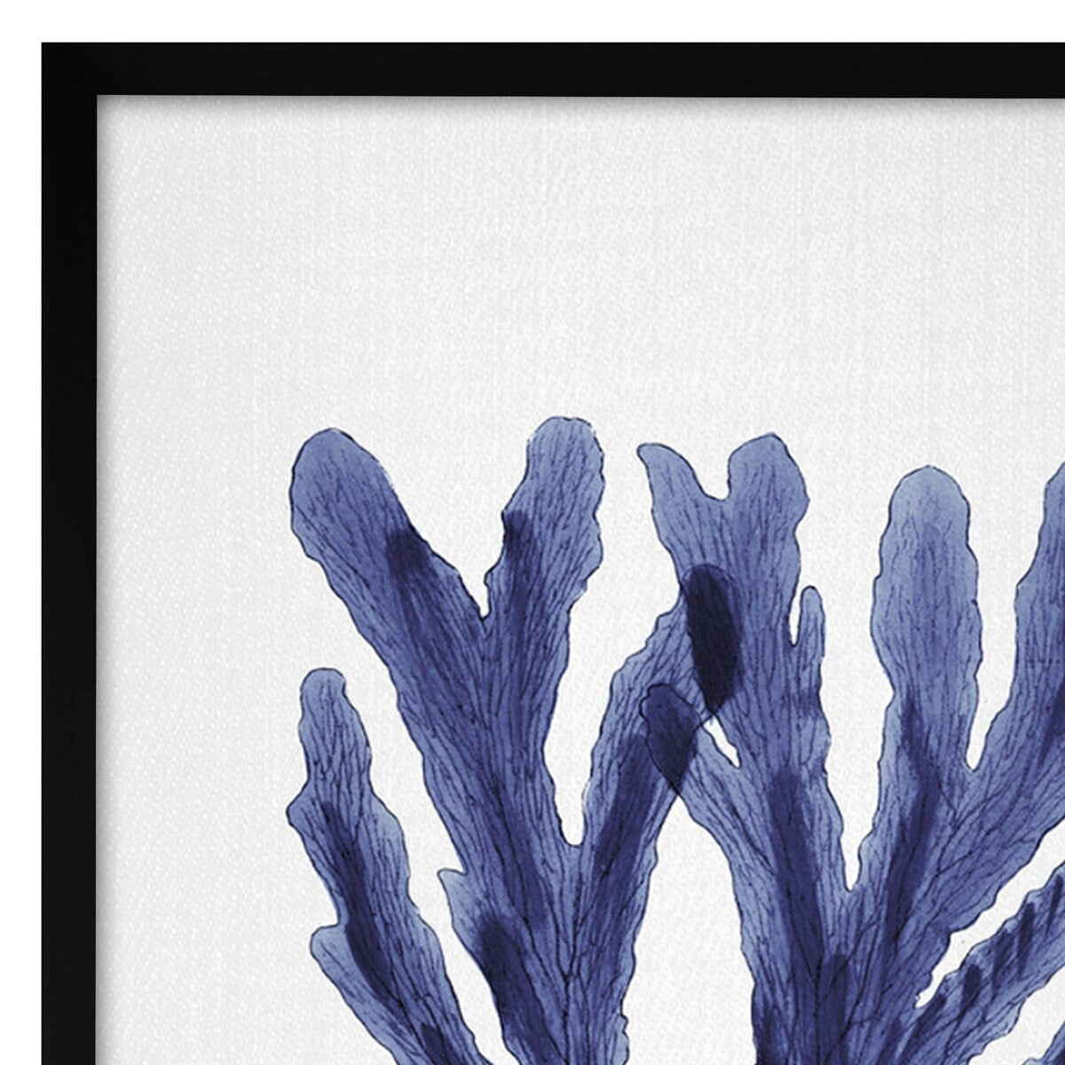 Americanflat - Coastal Wall Art Set - Seaweed 9, Seaweed by Gal Design