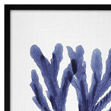 Americanflat - Coastal Wall Art Set - Seaweed 9, Seaweed by Gal Design