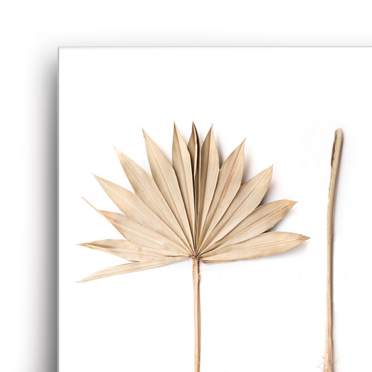 Americanflat - Rustic Wall Art Set - Fan Leaf, Fan by Sisi and Seb