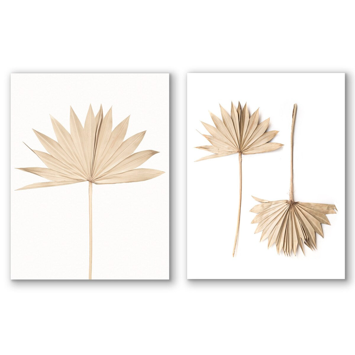 Americanflat - Rustic Wall Art Set - Fan Leaf, Fan by Sisi and Seb