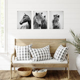 Americanflat - Rustic Wall Art Set - Horses Black and by Gal Design