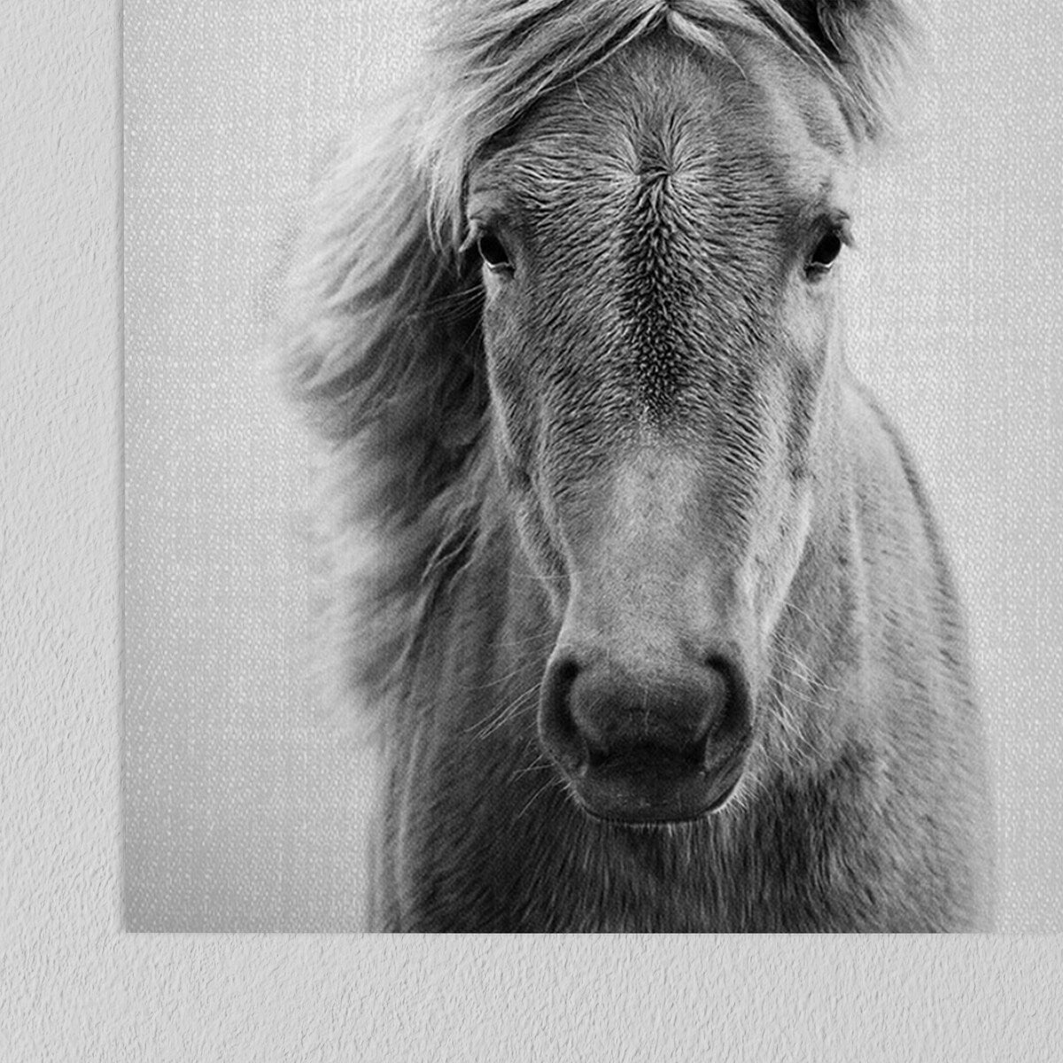 Americanflat - Rustic Wall Art Set - Horses Black and by Gal Design