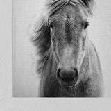 Americanflat - Rustic Wall Art Set - Horses Black and by Gal Design