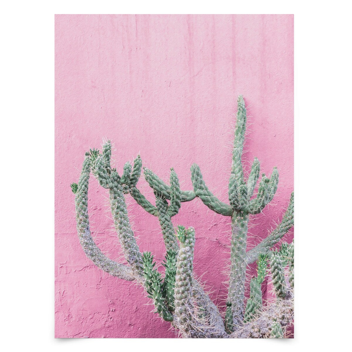 Americanflat - Rustic Wall Art Set - Positano, Cactus at by Sisi and Seb