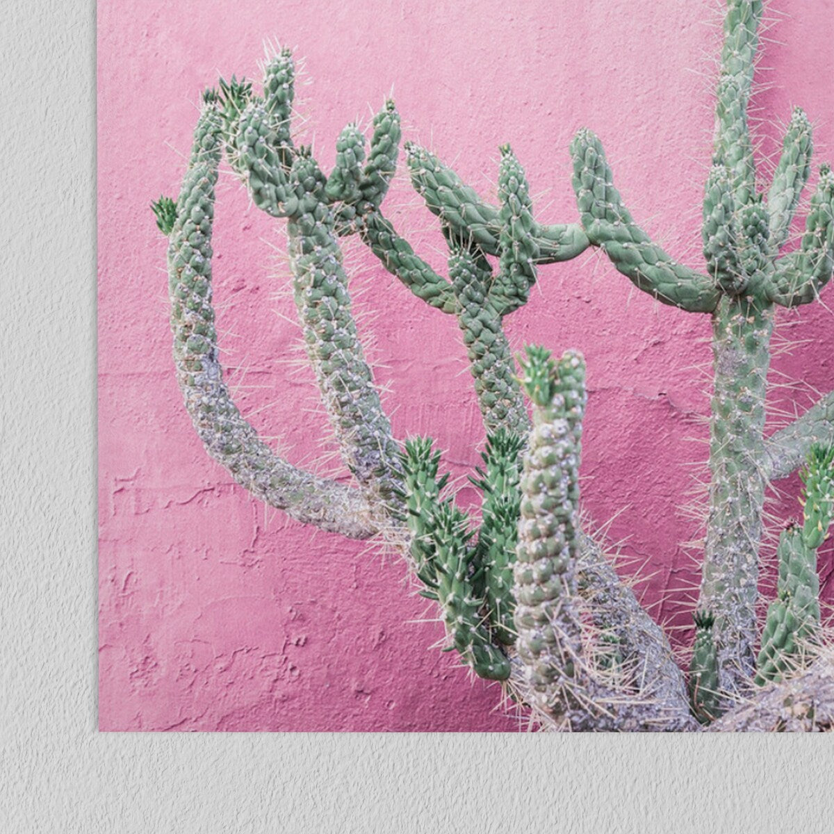 Americanflat - Rustic Wall Art Set - Positano, Cactus at by Sisi and Seb