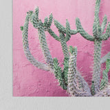Americanflat - Rustic Wall Art Set - Positano, Cactus at by Sisi and Seb
