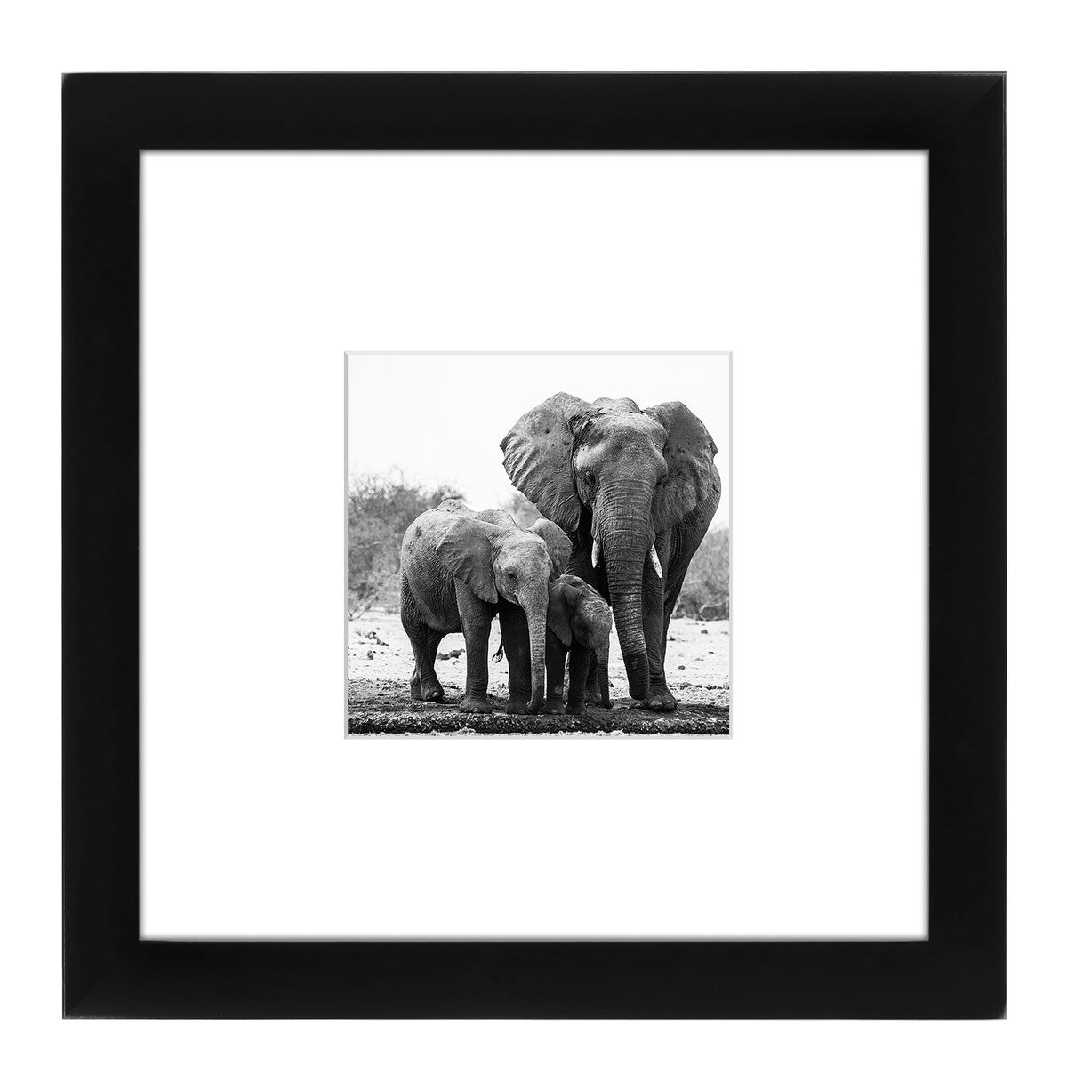Americanflat 15 Pack - 8x8 Picture Frames - Display Pictures 4x4 with Mats - Display Pictures 8x8 Without Mats, Black