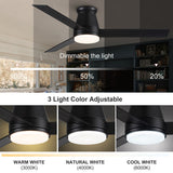 Amici 48 in. Indoor Black Low Profile Standard Ceiling Fan with Bright White Integrated LED Light Kit, Remote Included