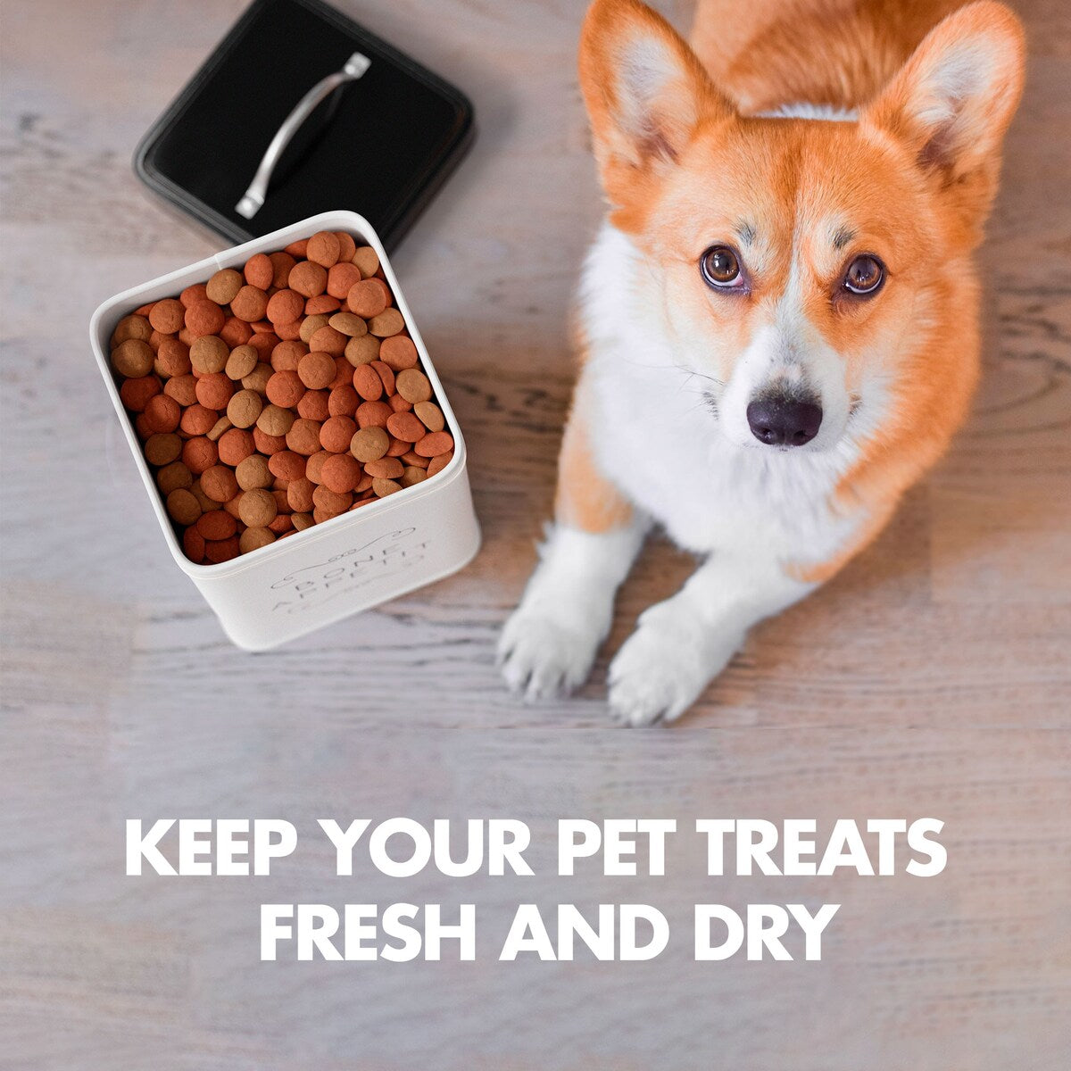 Amici Pet Sparky Treat Collection Storage Canister - 36 oz