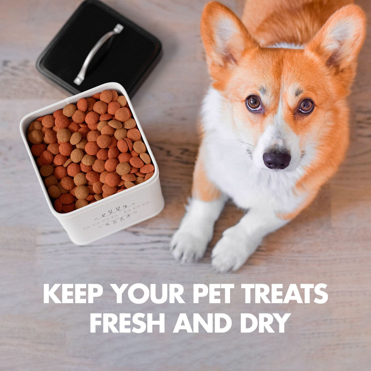 Amici Pet Sparky Treat Collection Storage Canister - 36 oz